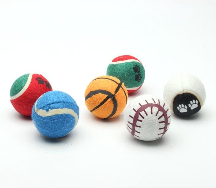 cheap Tennis ball pack custom printed tennis balls for dog fetch
