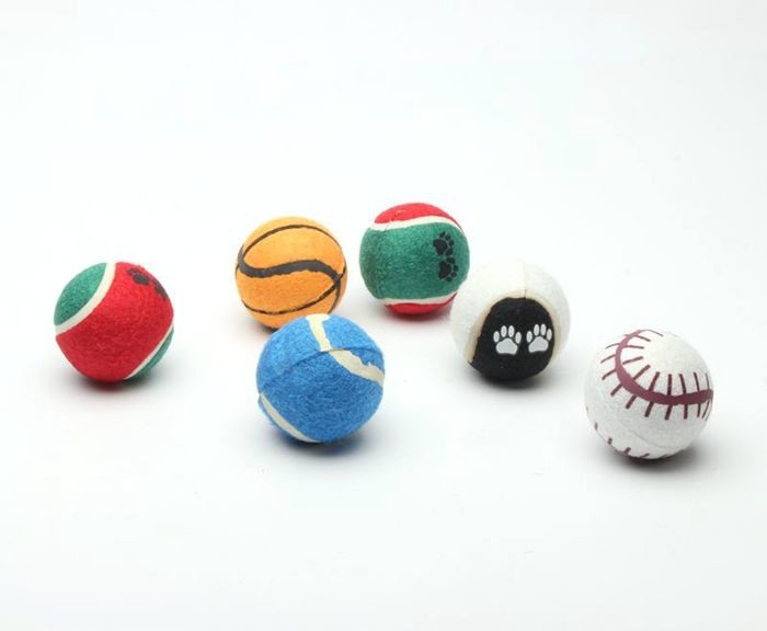 cheap Tennis ball pack custom printed tennis balls for dog fetch