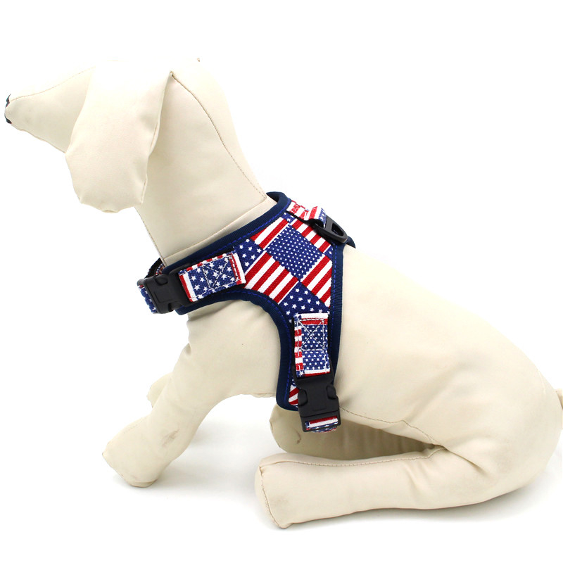 Pet Baby Dog Collars And Harnesses / Safe Dog Walking Collars Lightweight