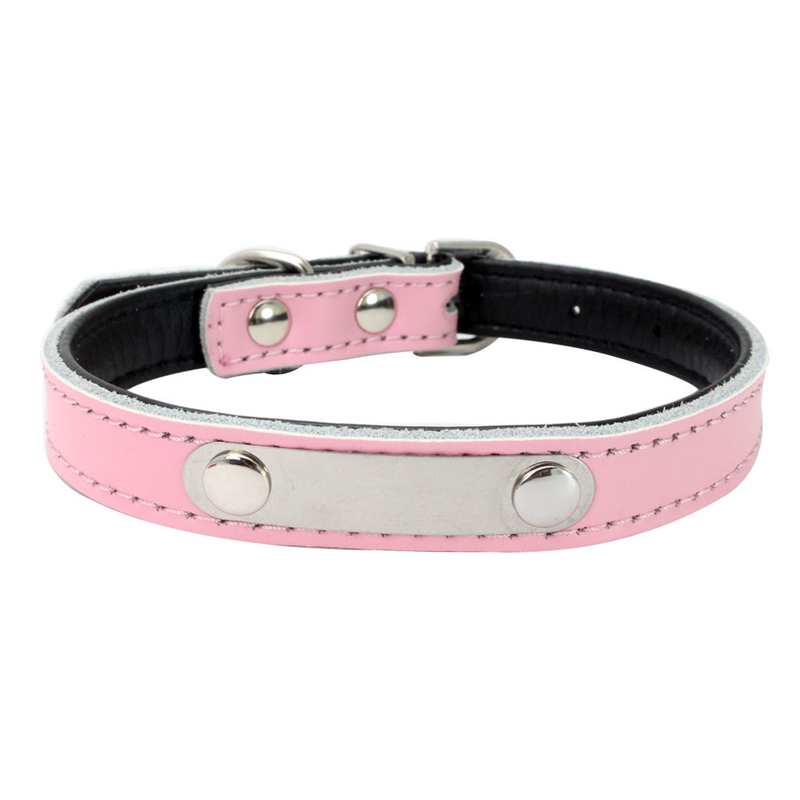 Durable Pet Dog Collars And Leashes Customized Number Printed With Stainless Steel Name Tag