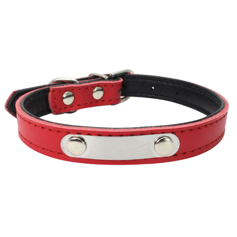 Durable Pet Dog Collars And Leashes Customized Number Printed With Stainless Steel Name Tag