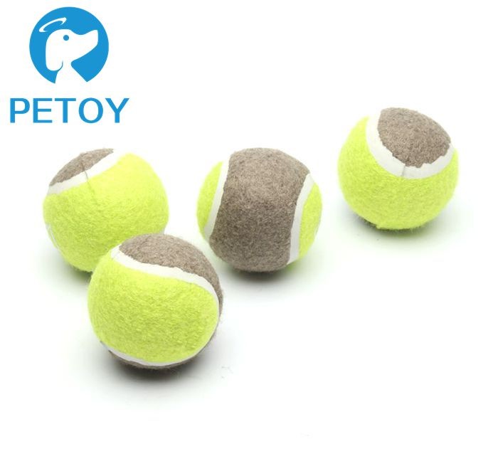 WIYETY Tennisbälle 15er Pack - Für Training & Hundespiele